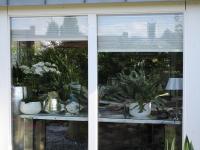 Fenster eines Wintergartens mit Plissee