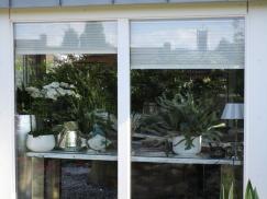 Fenster eines Wintergartens mit Plissee