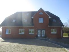 Hausansicht mit Haustür und Fenster in weiß