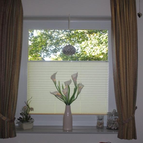 lichtdurchlässiges Plissee "Klabautermann"