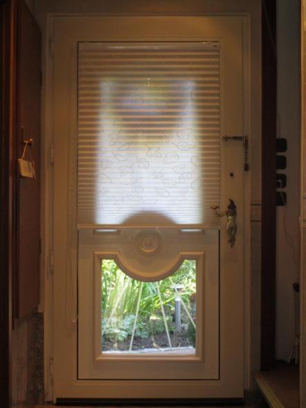 lichtdurchlässiges, freihängendes Plissee mit Kettenzug "Strandperle"