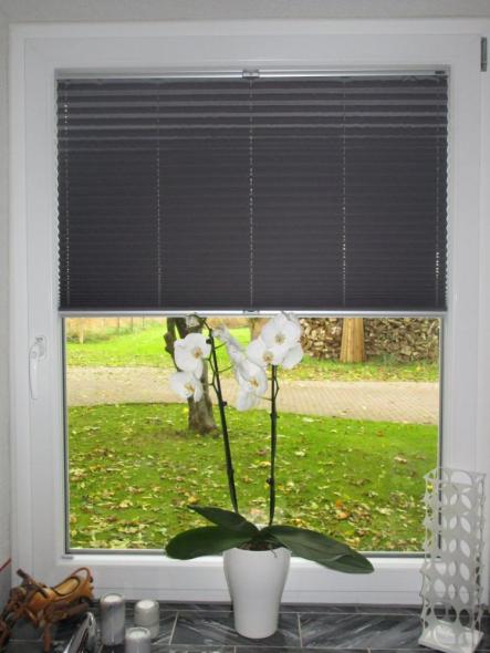 abdunkelndes Plissee "Biikebrennen"