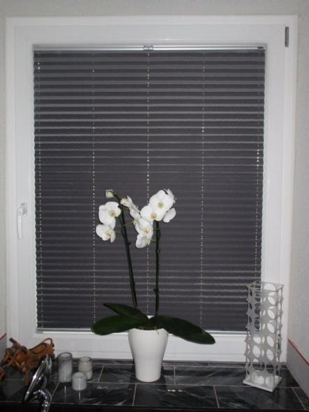 abdunkelndes Plissee "Biikebrennen"