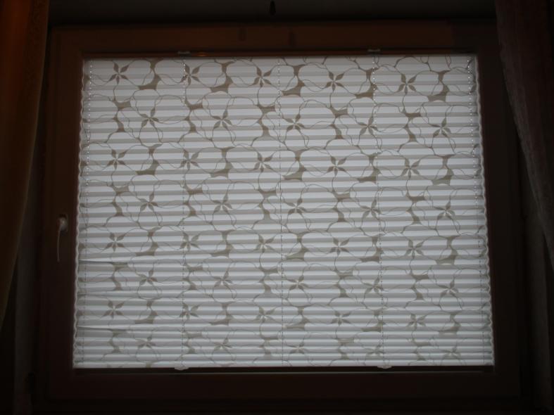 lichtdurchlässiges Plissee "Deichgraf"