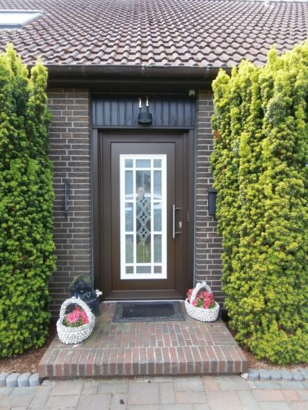 Haustür braun mit Lichtausschnitten