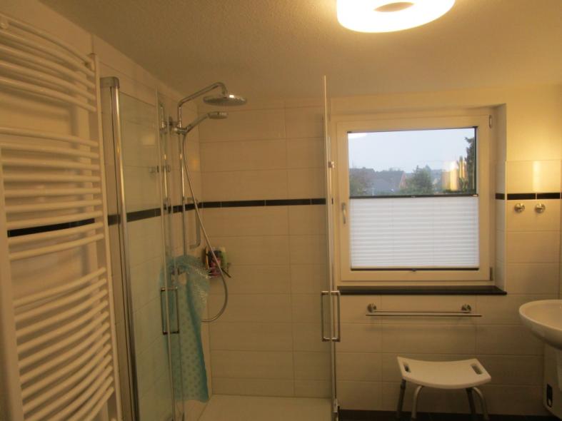 lichtdurchlässiges Plissee "Landgang"