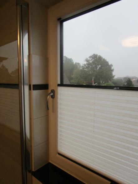 lichtdurchlässiges Plissee "Landgang"