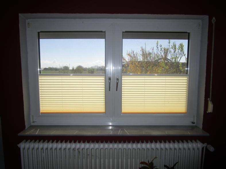 lichdurchlässiges Plissee "Steuermann"