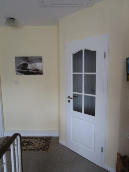 Innentür weiß mit sechs Lichtausschnitten