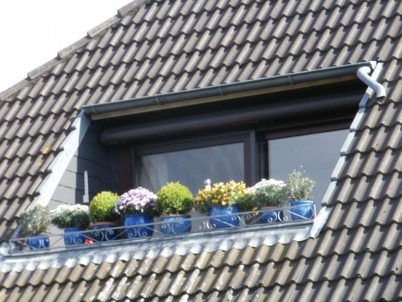Außenansicht Schiebe-Terrassentür mit Insektenschutz