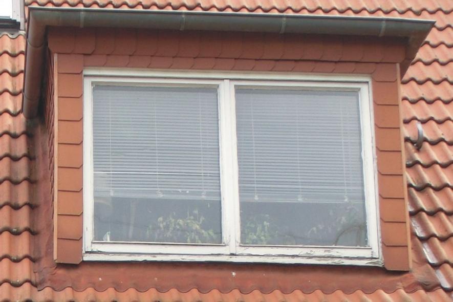 Vorher Dachgaube