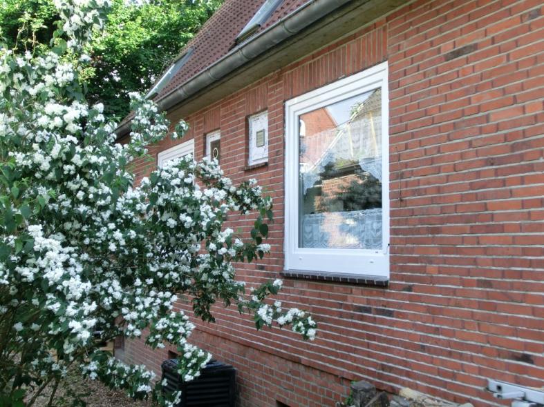 Nachher Fenster und Terrassentürelement