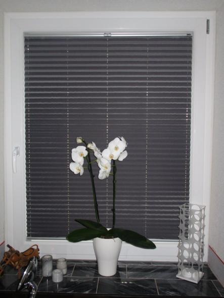 abdunkelndes Plissee "Biikebrennen"