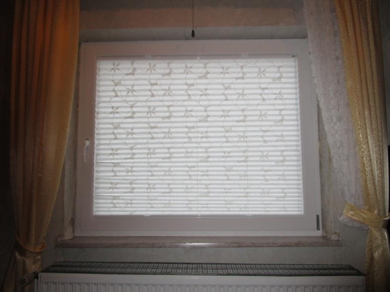 lichtdurchlässiges Plissee "Deichgraf" Innenansicht