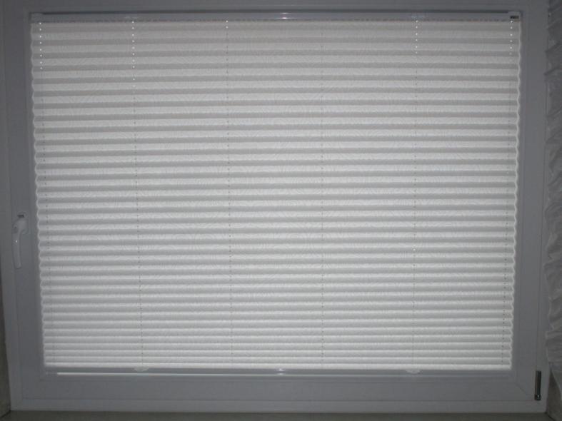 lichtdurchlässiges Plissee "Sommerwind"