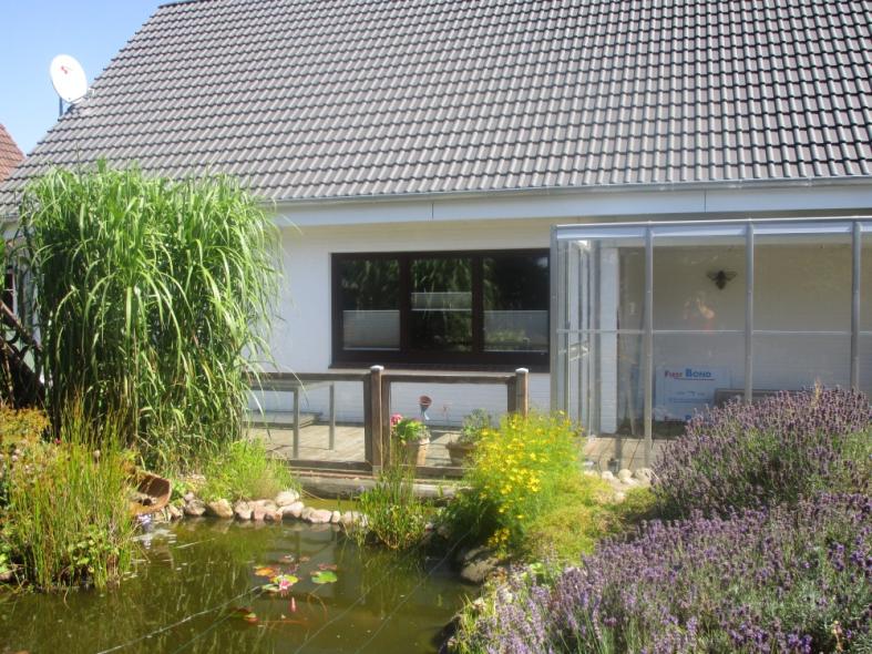 Fenster in anthrazit und Wintergarten mit weißem Rahmen